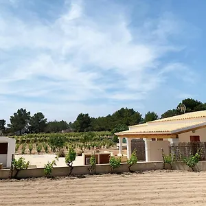 Aptos Rurales Pep De Sa Barda - Vinedos Y Tranquilidad San Francisco Javier